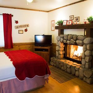 Queen Studio Fireplace